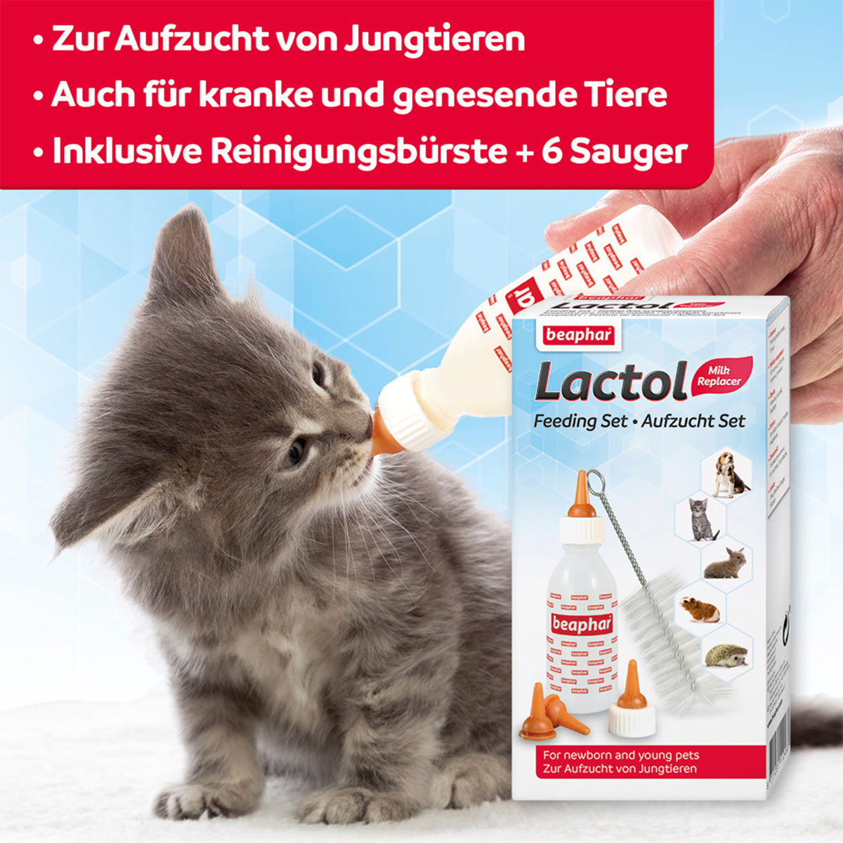 beaphar Lactol Aufzucht Set günstig kaufen