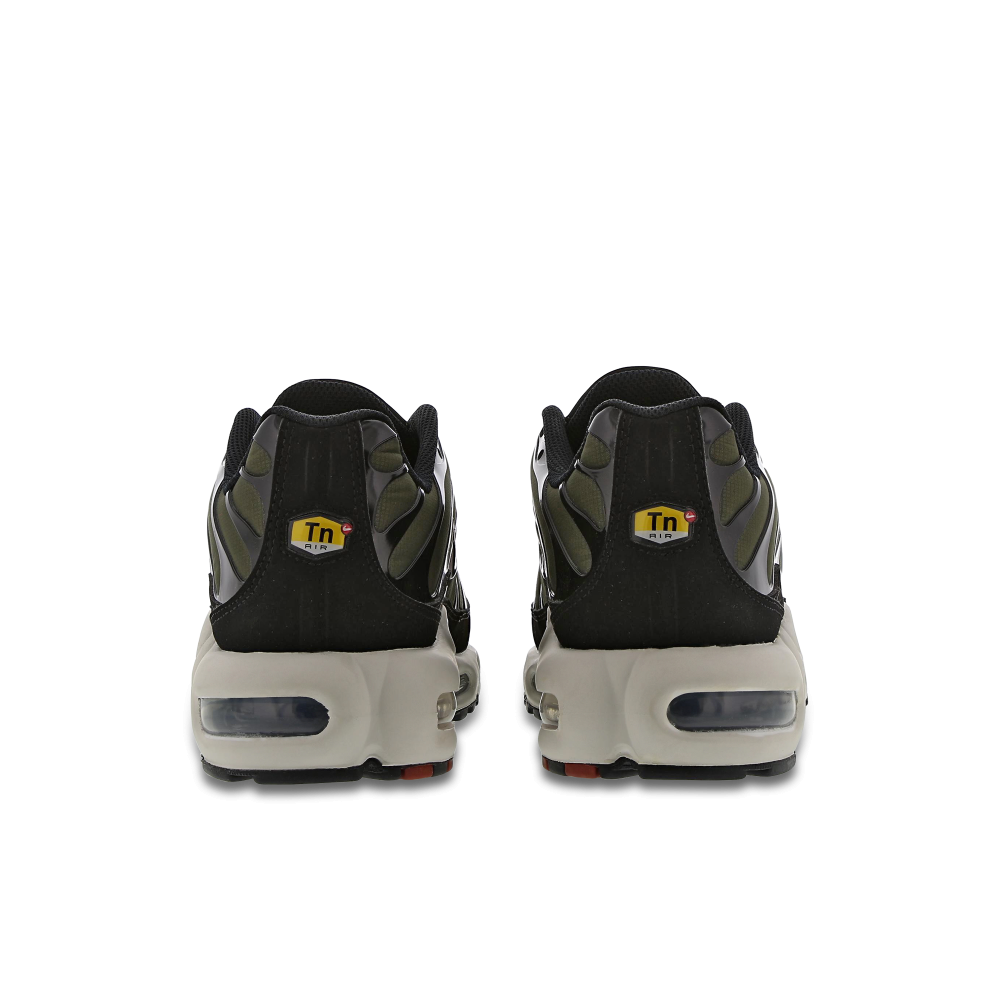 Nike Air Max Plus FB9722-300 / grün