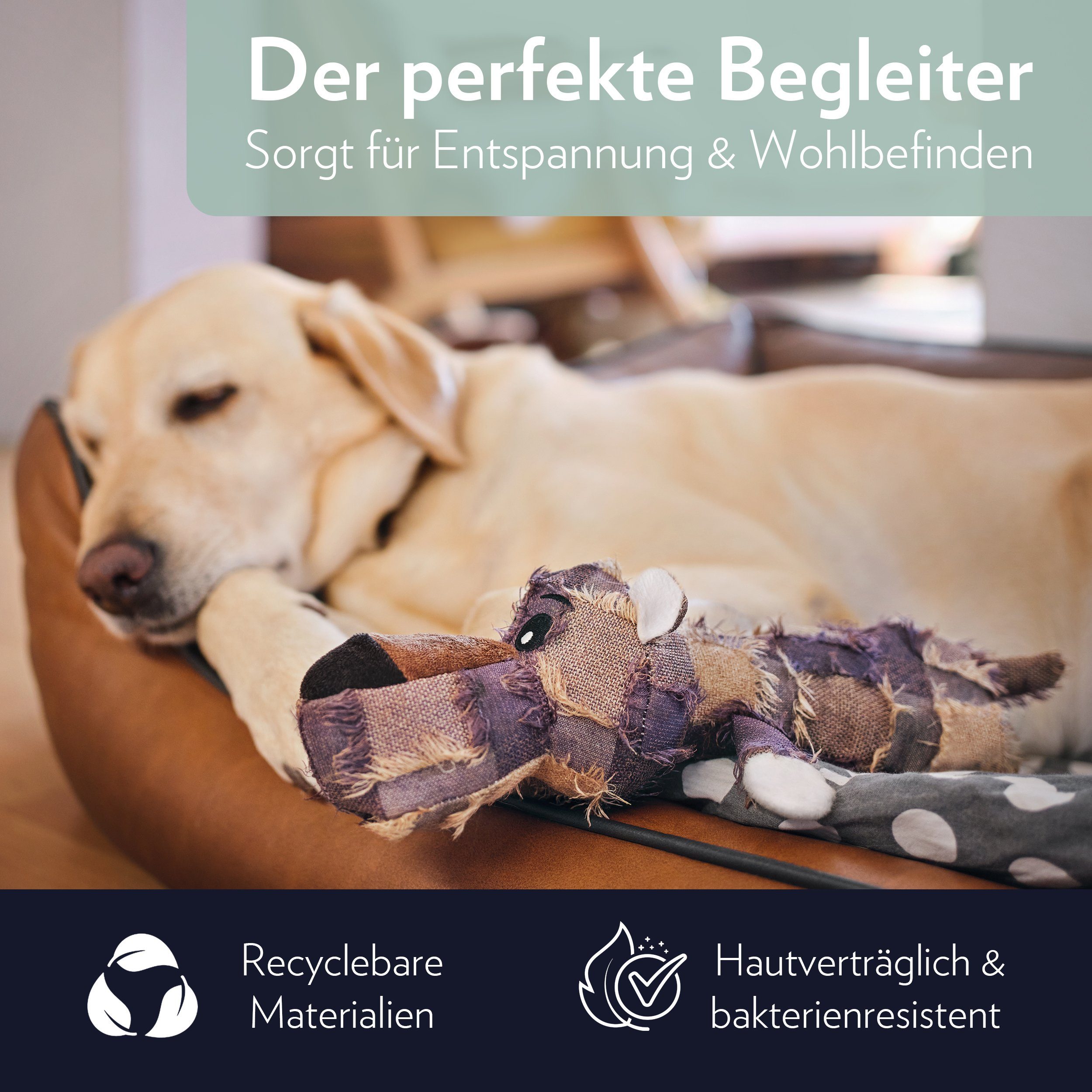 TETHAK Tierkuscheltier Hundespielzeug, Quietschend, (1-tlg)