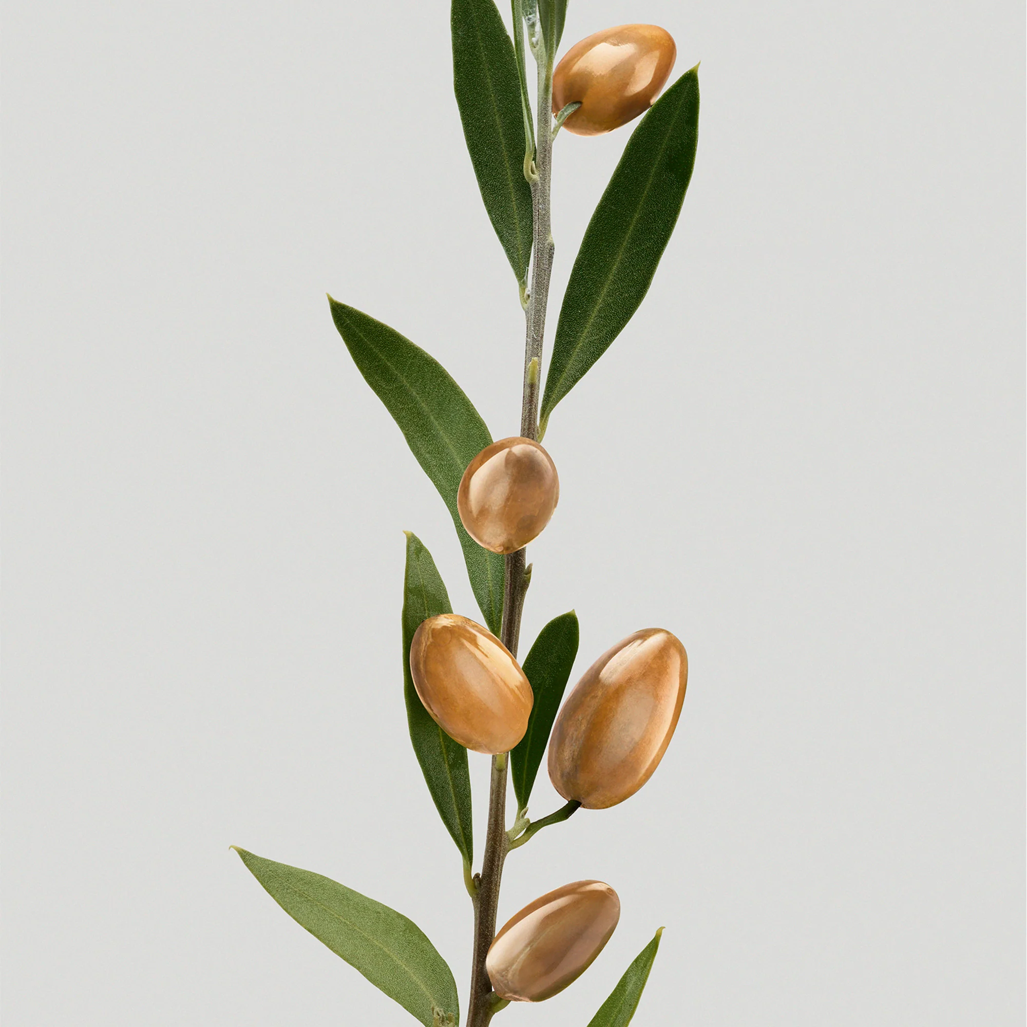 Silk Bloom Restorative Shampoo - Šampon za jačanje, Šampon za pročišćavanje
