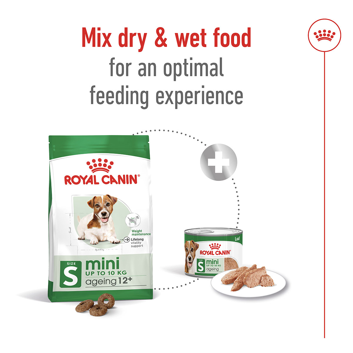 Royal Canin SHN Mini Ageing Loaf Can günstig kaufen bei ZooRoyal
