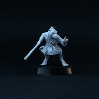 Rat Sensei (28 mm)