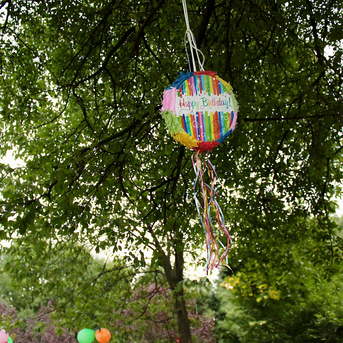 Pinata Geburtstag