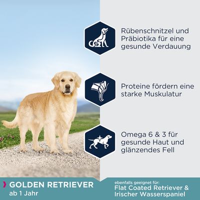 Eukanuba Adult Breed Specific Golden Retriever
