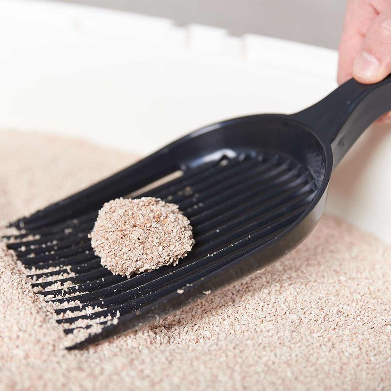 Porta SoftCat Grass zu TOP-Preisen