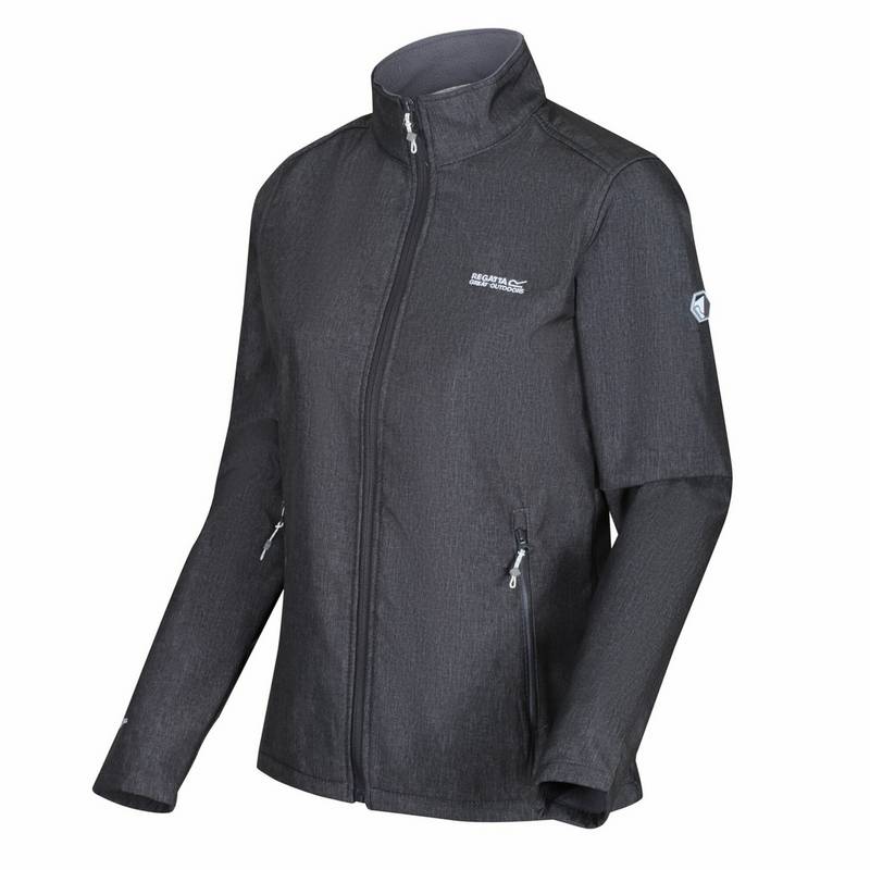 Regatta Connie IV Softshelljacke Damen
