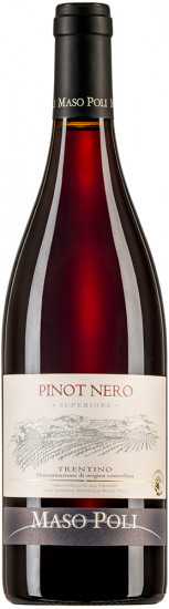 Pinot Nero Trentino Superiore DOC trocken - Maso Poli