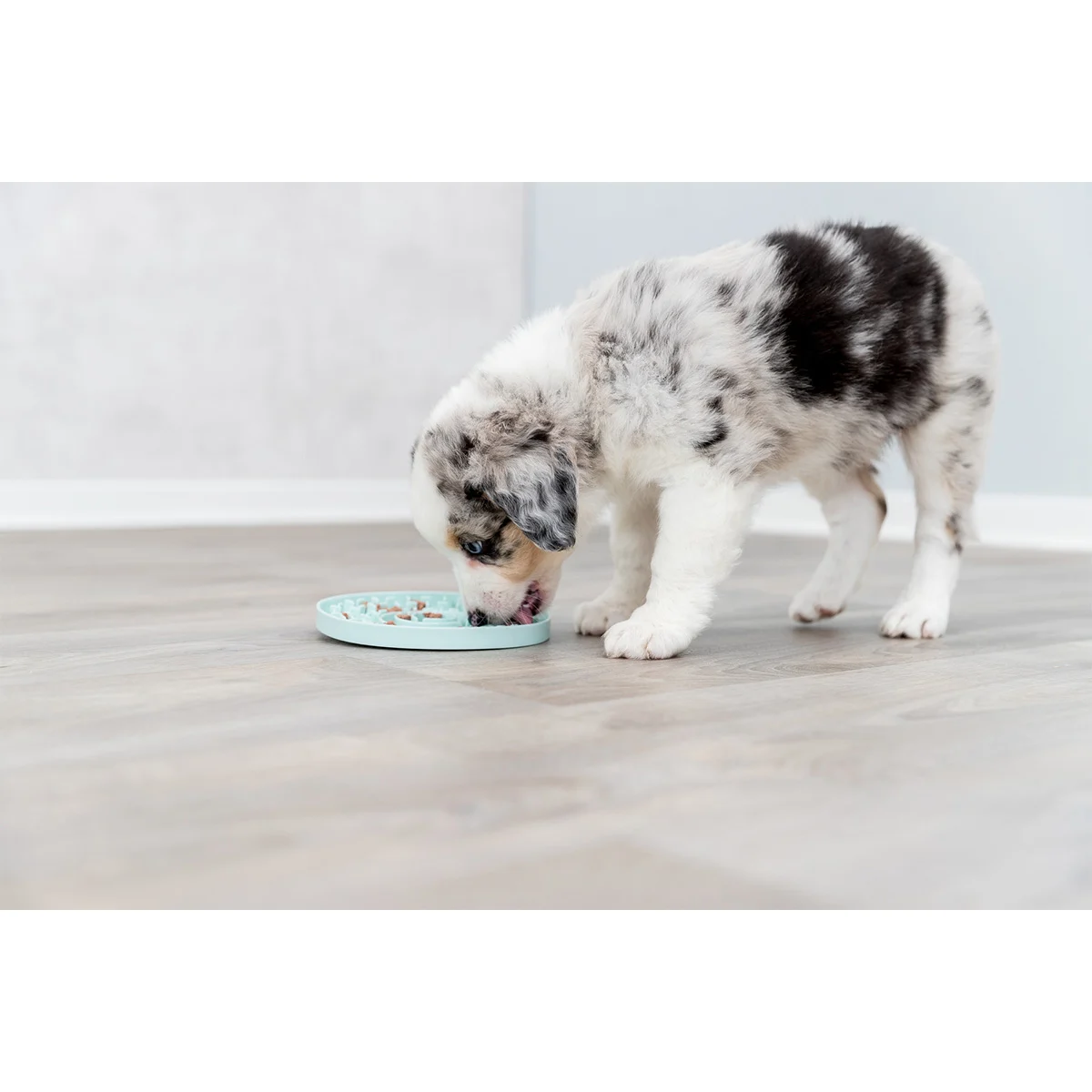 Trixie Lick'n'Snack Schleckplatte für Welpen kaufen bei ZooRoyal