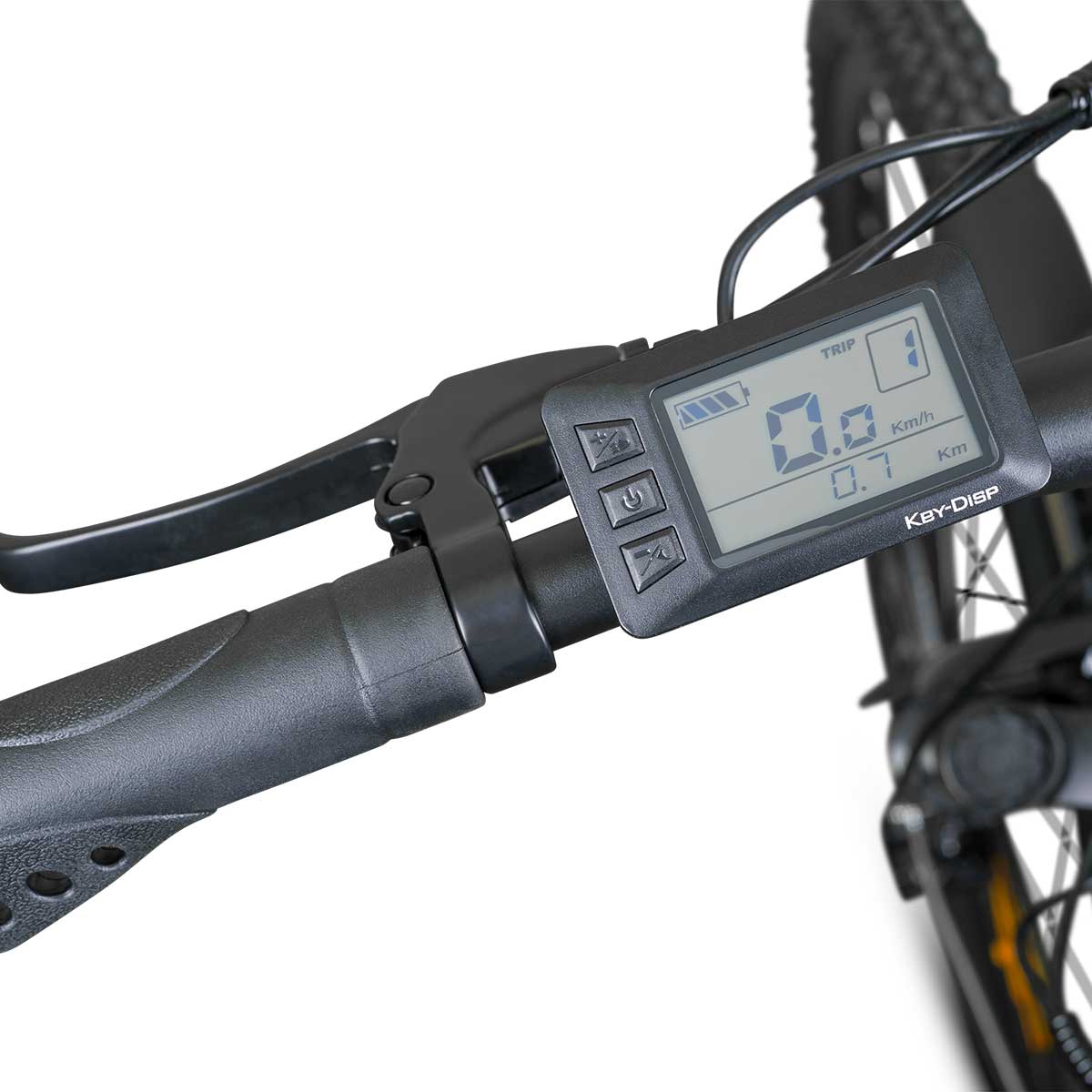 Rover ROVER Trekking E-Bike TLR 709