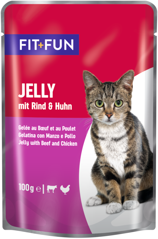 FIT+FUN Nassfutter FIT+FUN Jelly Multipack XXL 44x100g