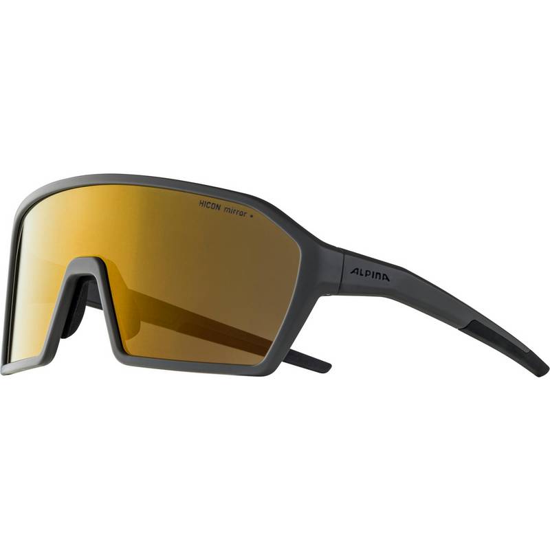 ALPINA RAM HM+ Sportbrille