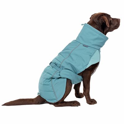 Nomad Tales Spirit Softshell-Hundemantel Pacific