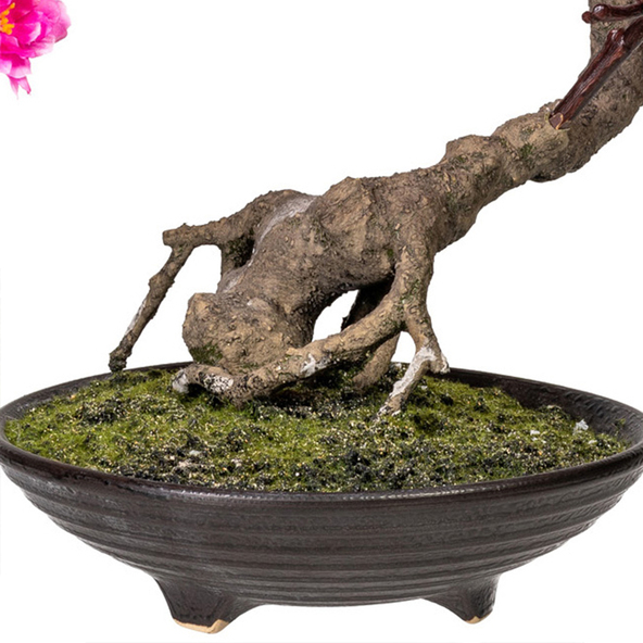 Künstl. Bonsai cerasum in Zementschale, 50 cm