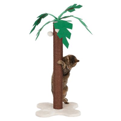 Kratzstamm Coco Palm