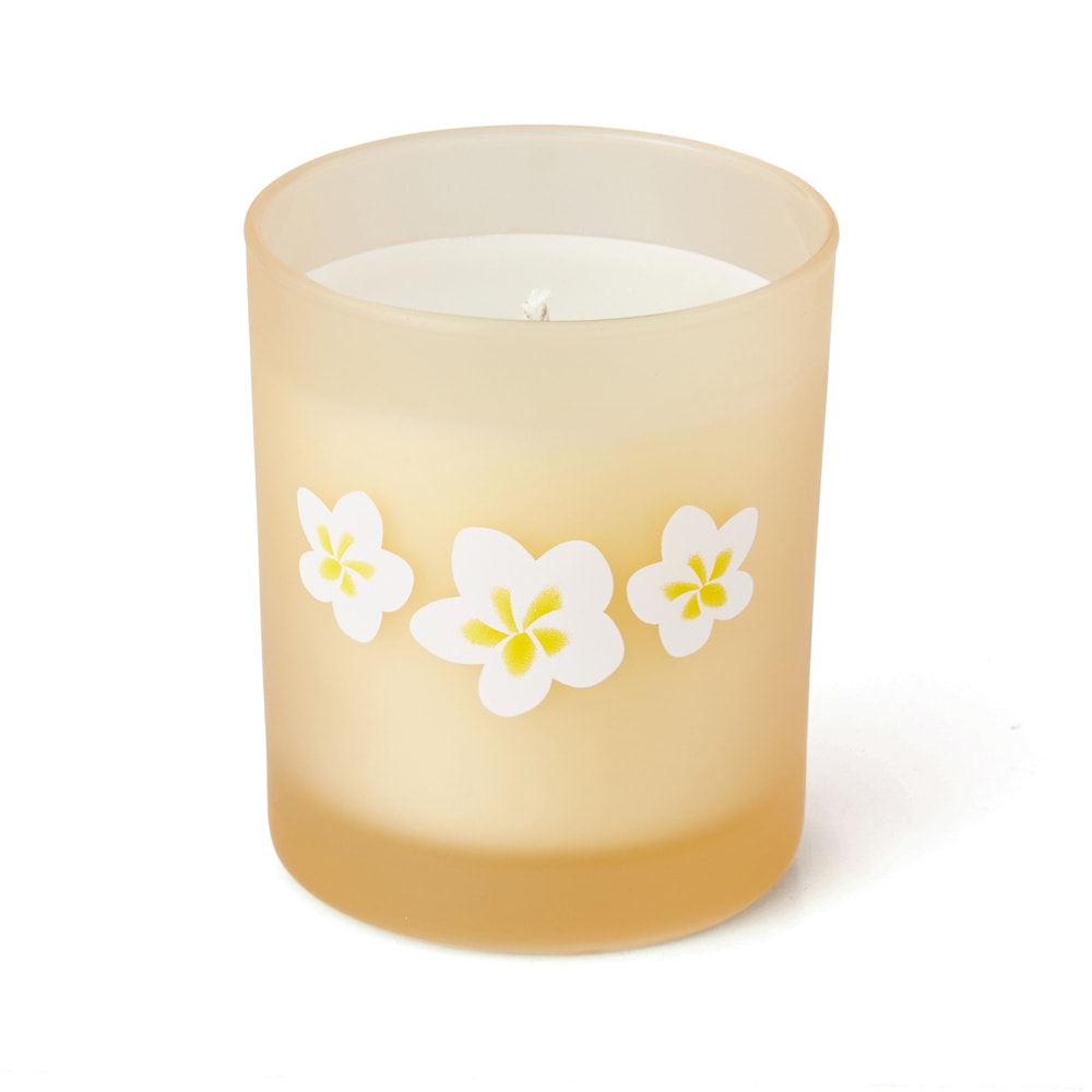 Nocibé Polynesia Paradise - Monoï & Vanille Bougie parfumée