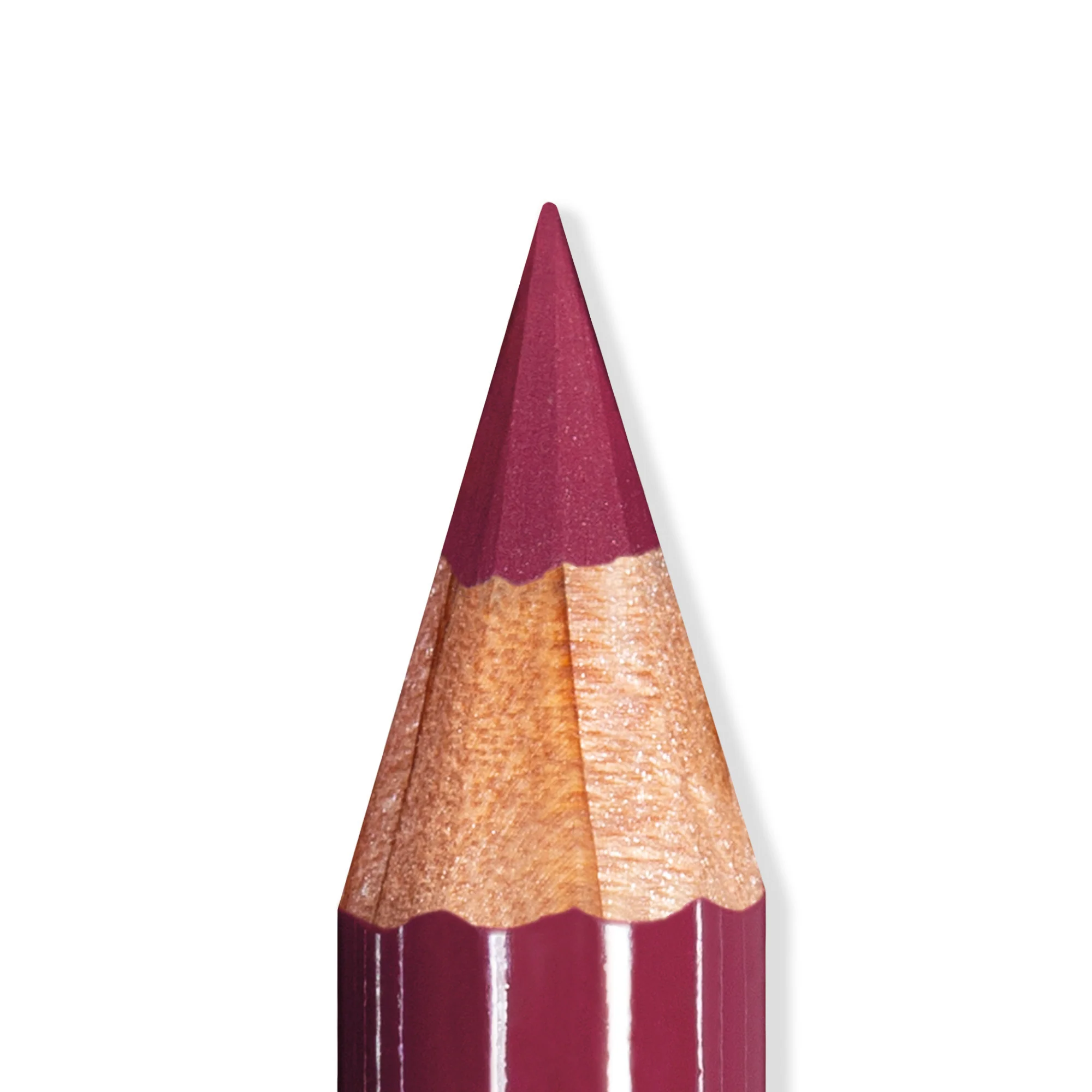 Lápiz de labios Artist Lips