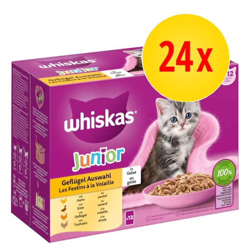 Megapack Whiskas Junior Frischebeutel 24 x 85 g
