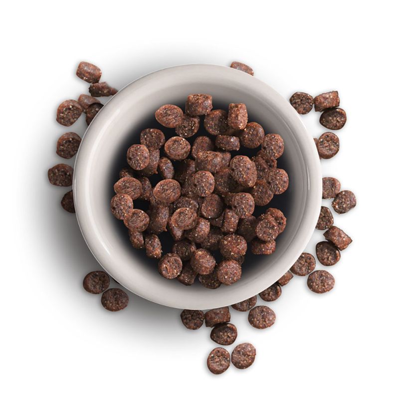 Leonardo Adult Geflügel Grainfree zu TOP-Preisen