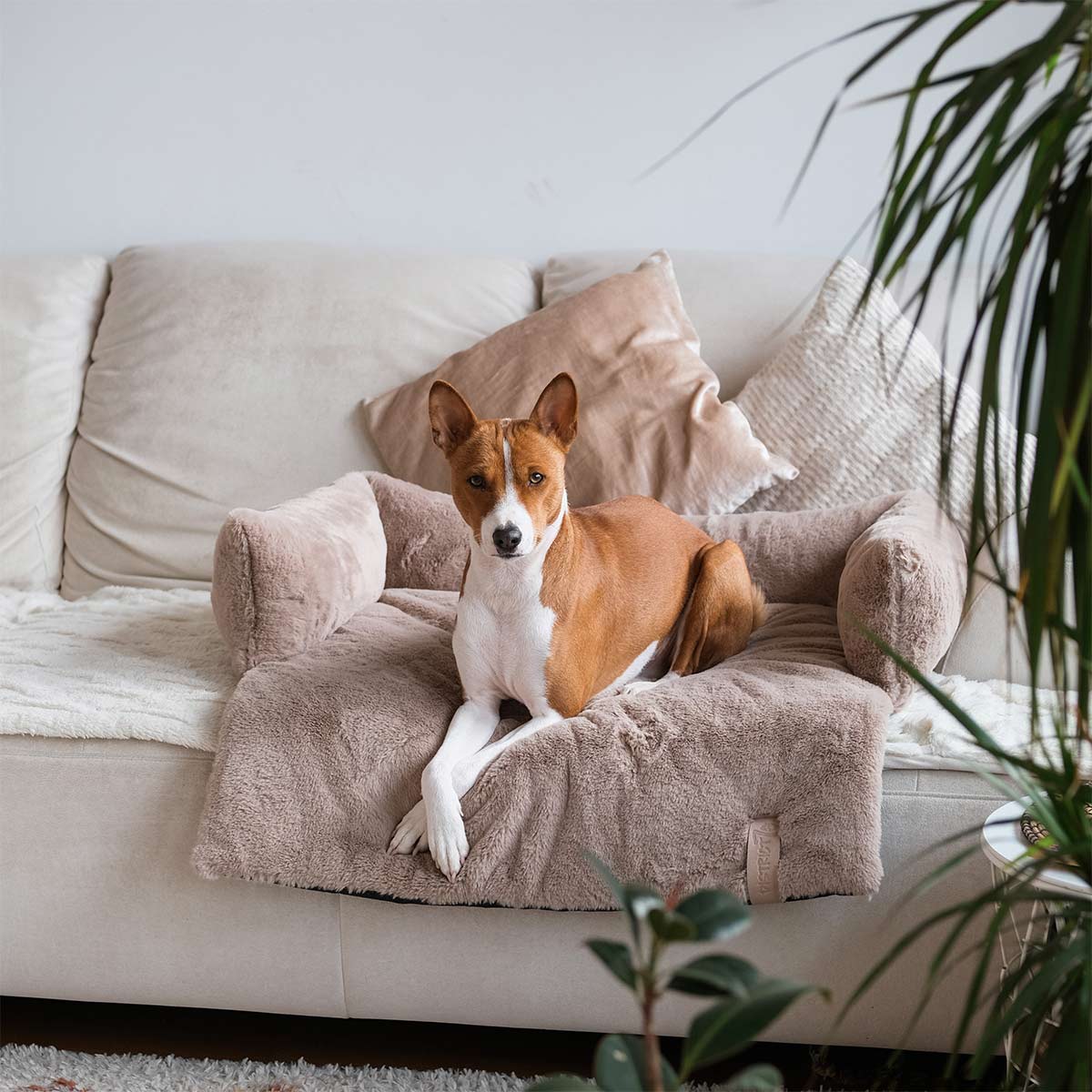 District 70 Sofa Bett NUZZLE taupe günstig kaufen bei ZooRoyal