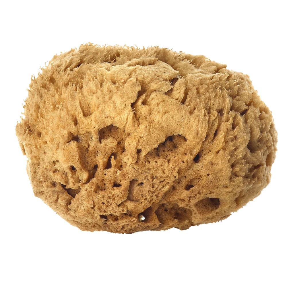 huygens L'ÉPONGE NATURELLE BRUTE Grande éponge pour le corps. Naturellement douce et anti-bactérienne.