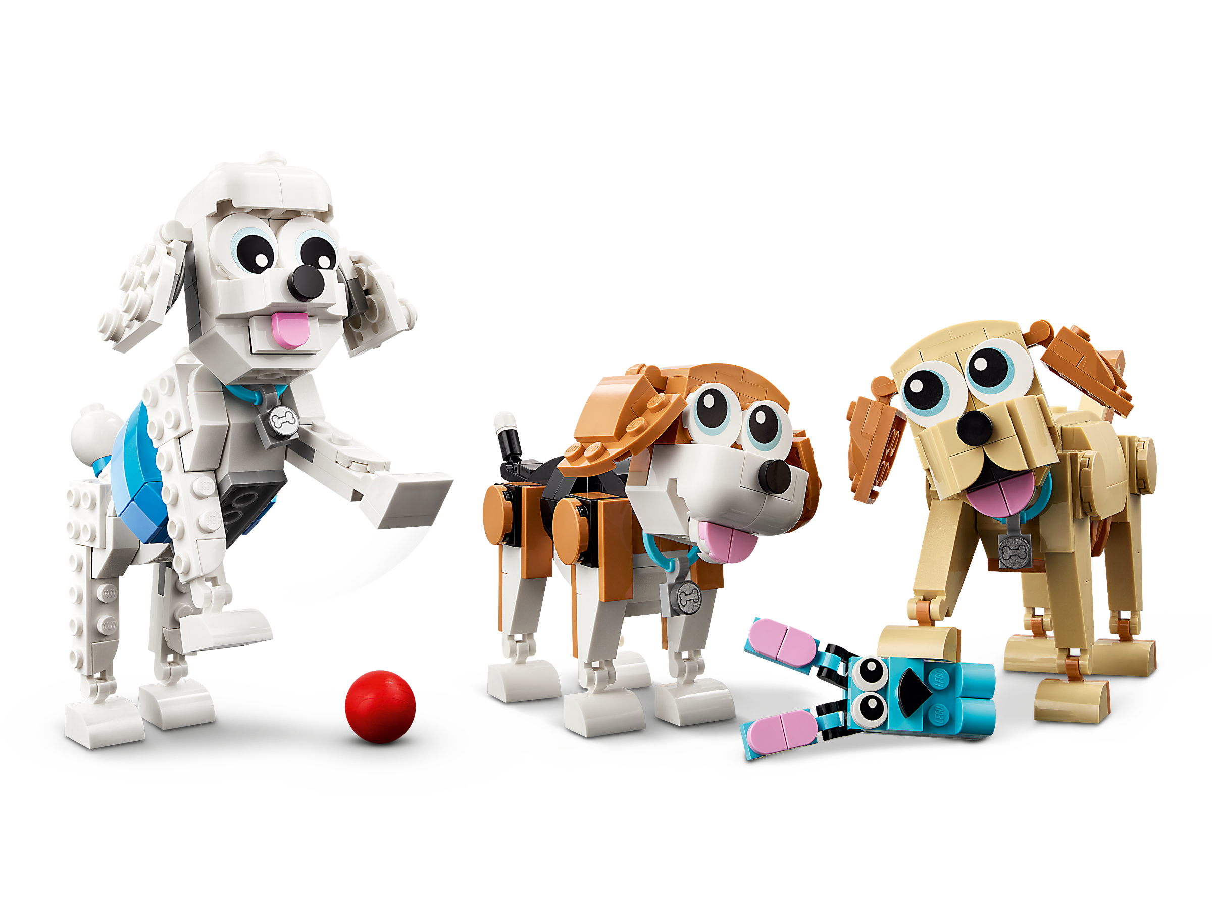 Niedliche Hunde 31137