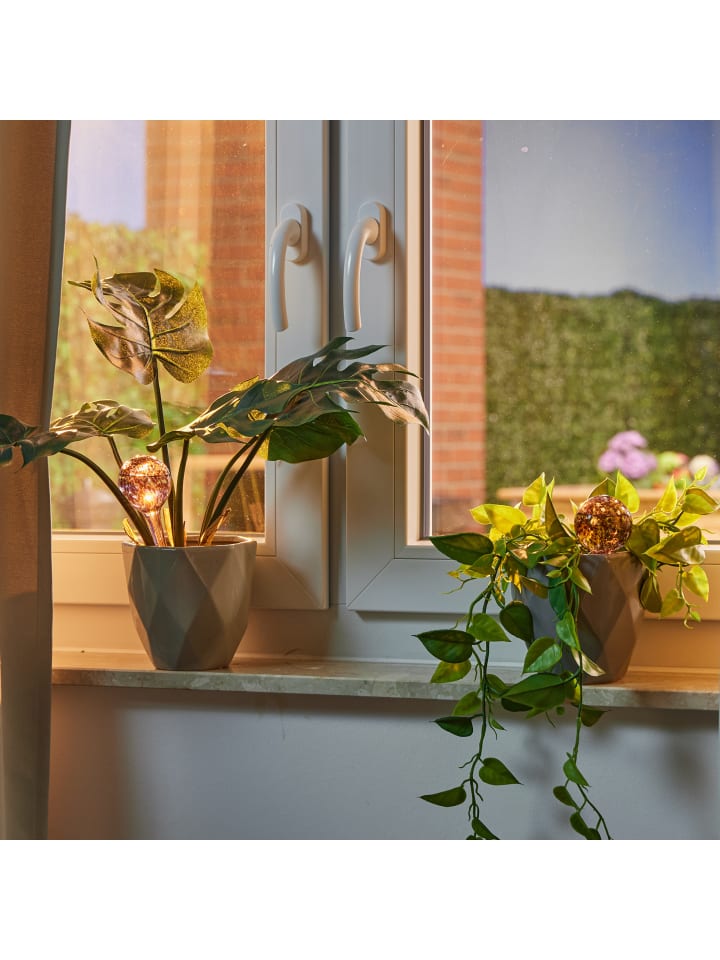relaxdays 4 x Bewässerungskugel in Lila - (H)15 x Ø 6 cm günstig kaufen onesize