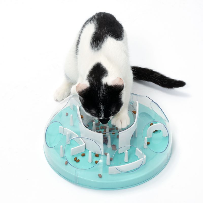 TIAKI Intelligenzspielzeug Coliseum für Katzen