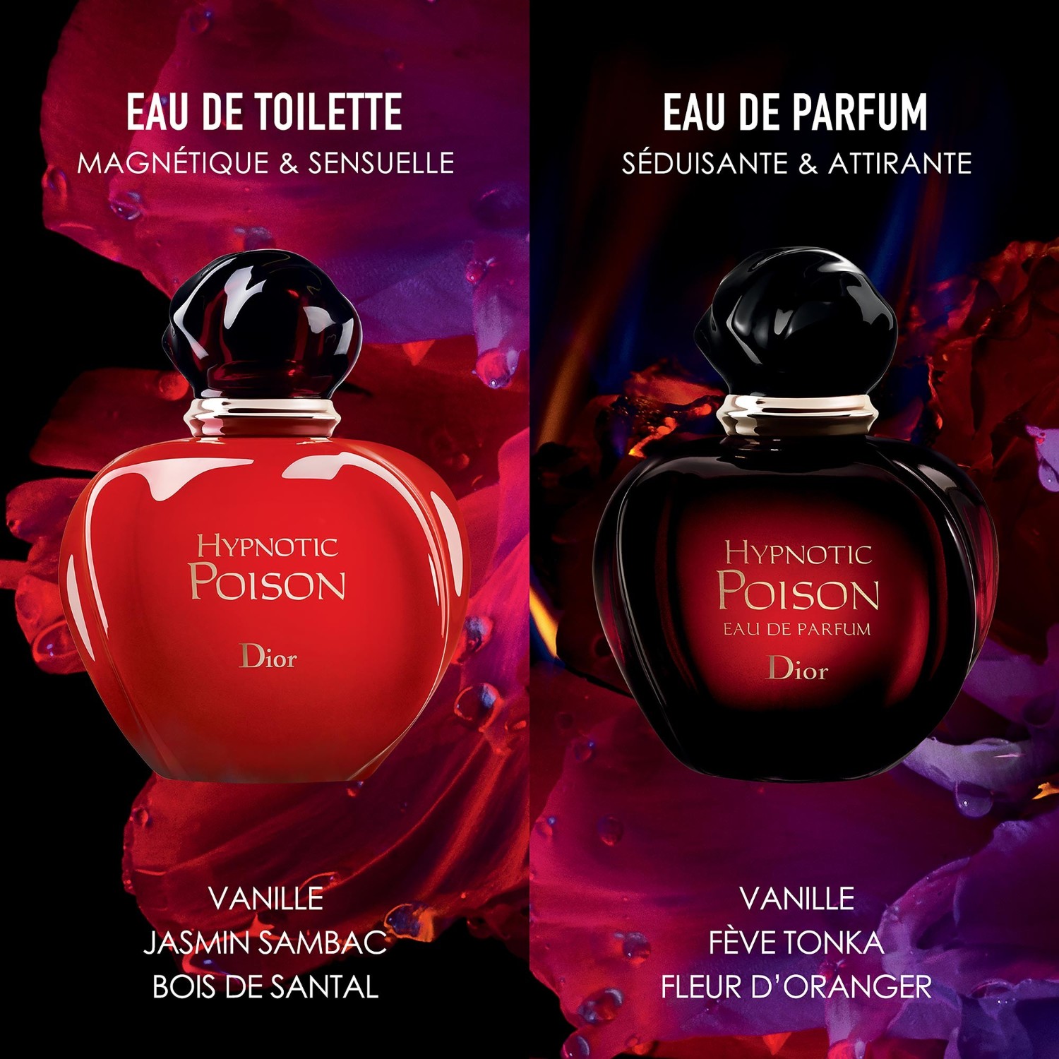 DIOR Nuty bursztynu i wanilii