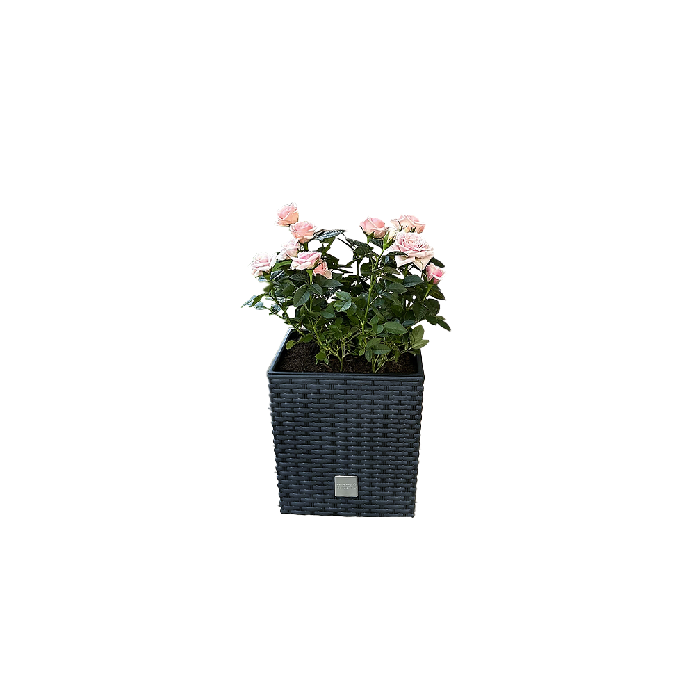 Protanic Powertec Garden Blumentopf 