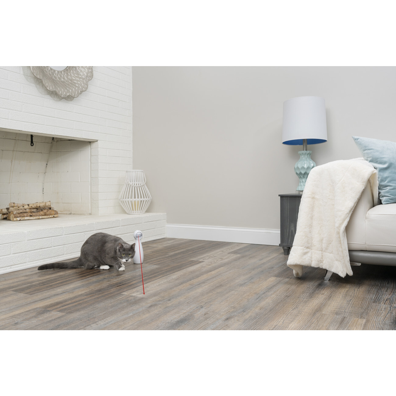 PetSafe Laserpointer & Elektrospielzeug PetSafe FroliCat BOLT Automatisches Laserlicht