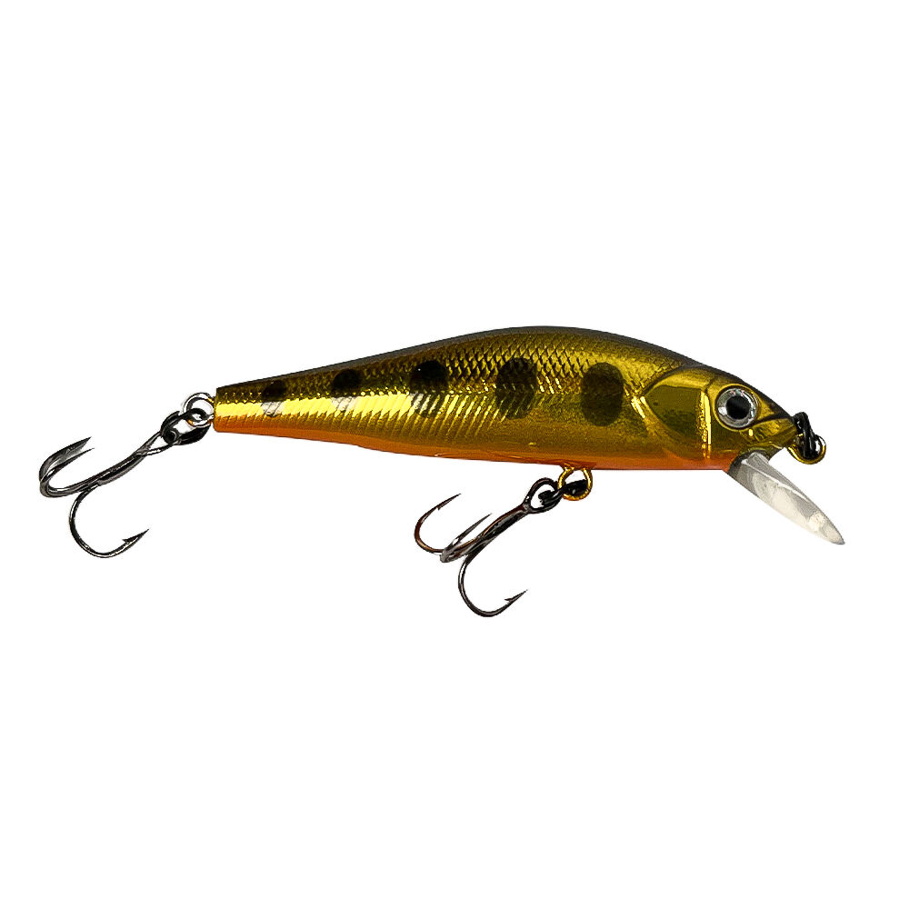 schwimmende Forellenfische + Gratis-Box
