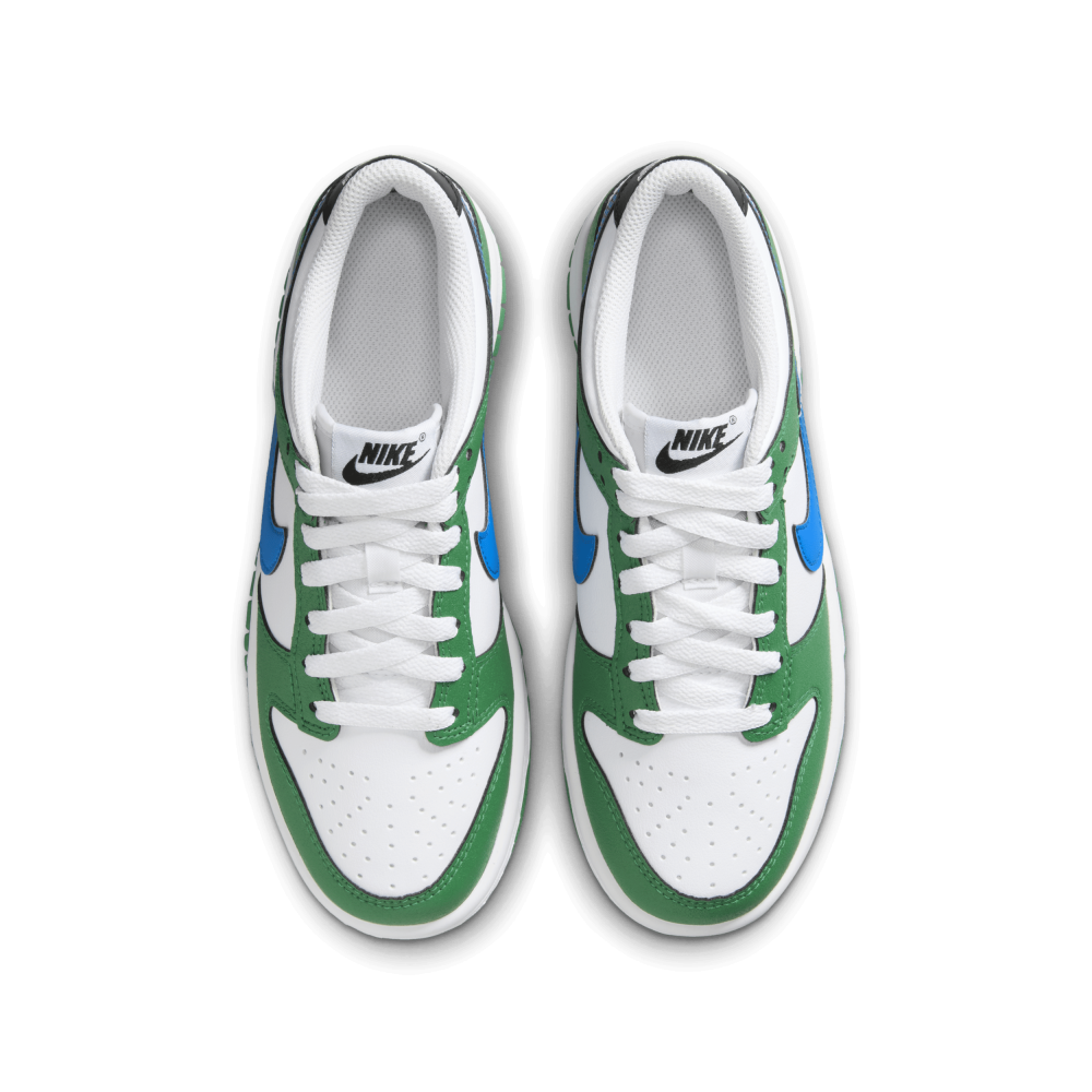 Nike Dunk Low GS FZ4357-300 / grün