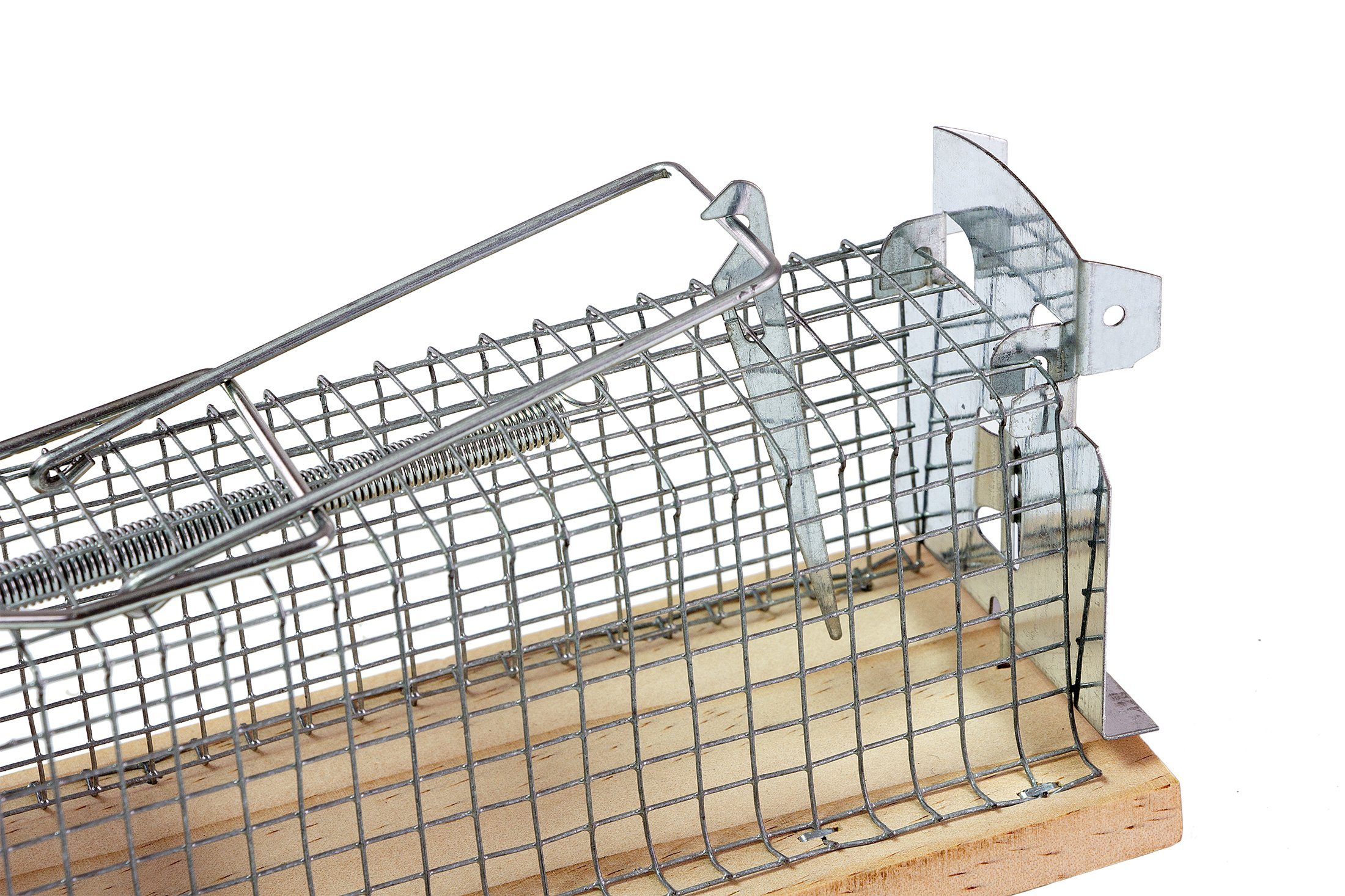 BigDean Lebendfalle Lebendfalle für Mäuse & Ratten