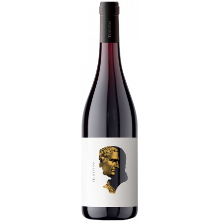 OTRE PRIMITIVO 2020 - CANTINE TEANUM
