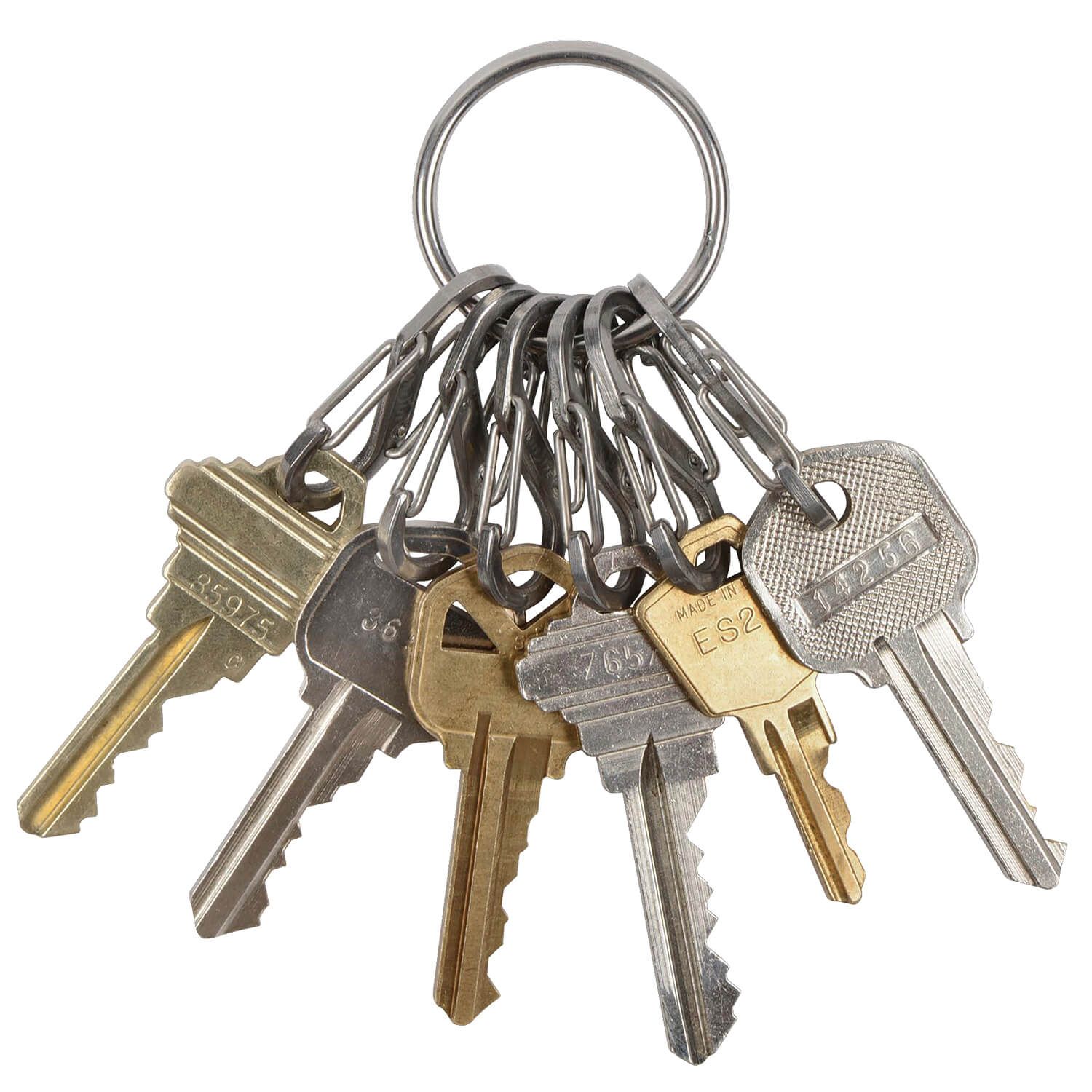 KeyRing Steel S-Biner