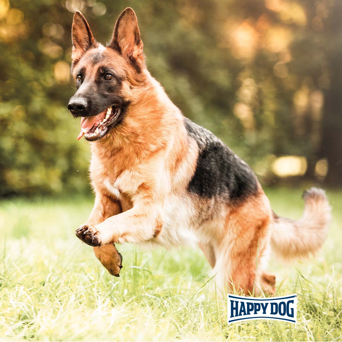 Happy Dog Supreme fit & vital Sport günstig kaufen bei ZooRoyal