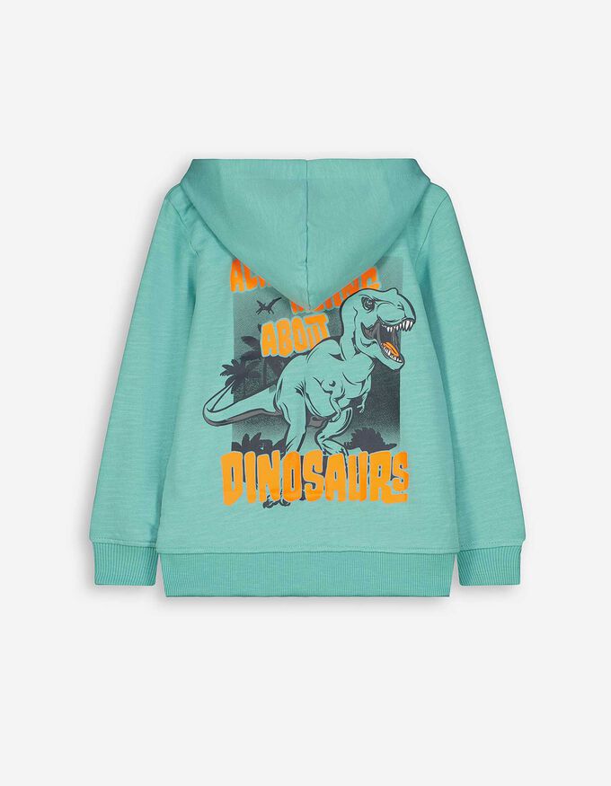 Sweatjacke - Rückenprint