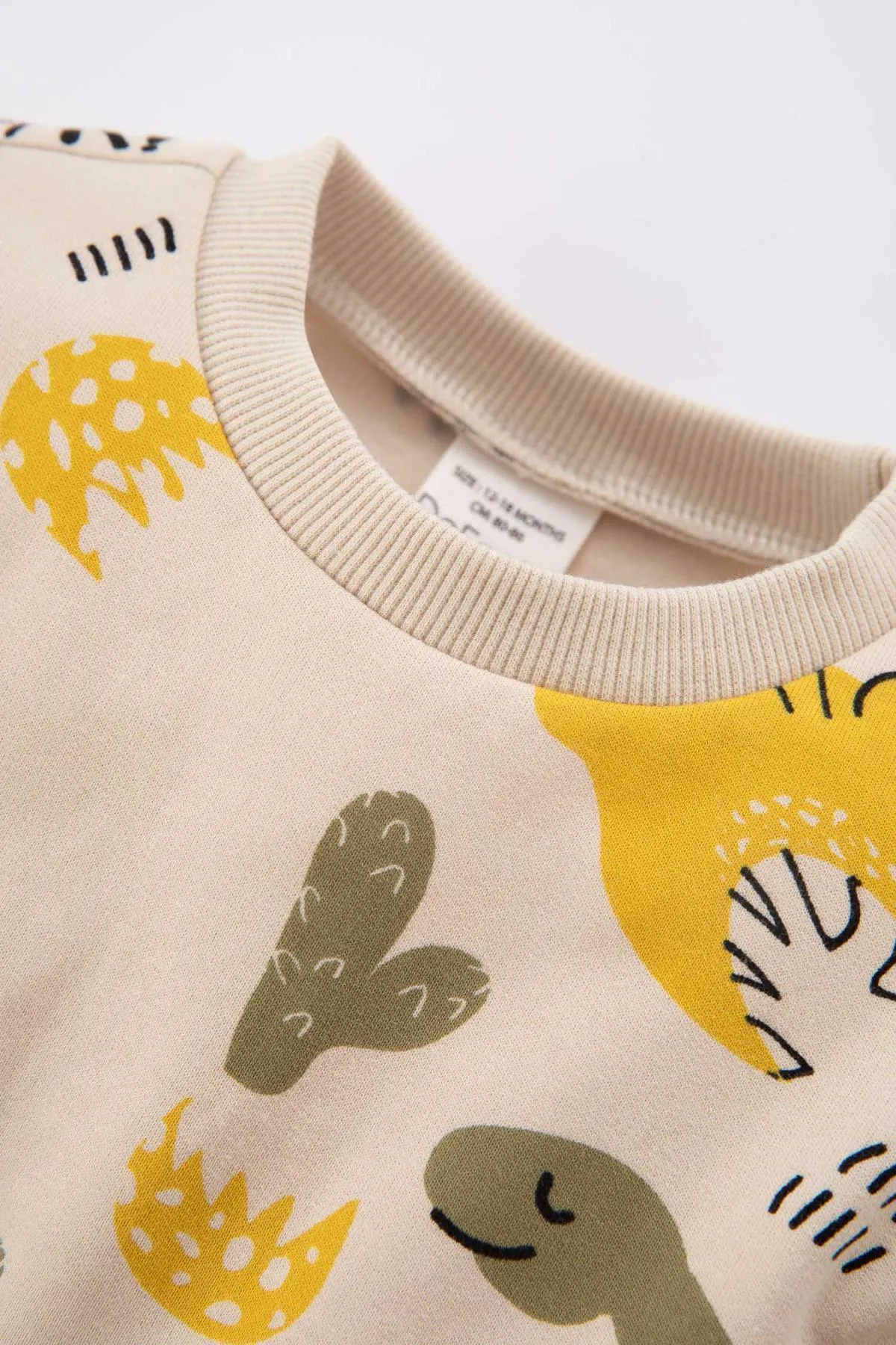 DeFacto  Weiches, flauschiges Sweatshirt mit Dinosaurier-Aufdruck und Rundhalsausschnitt für Babys (Jungen).