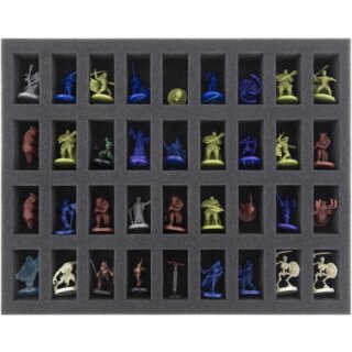 Feldherr Schaumstoffeinlage für Dungeons and Dragons - 36 Miniaturen