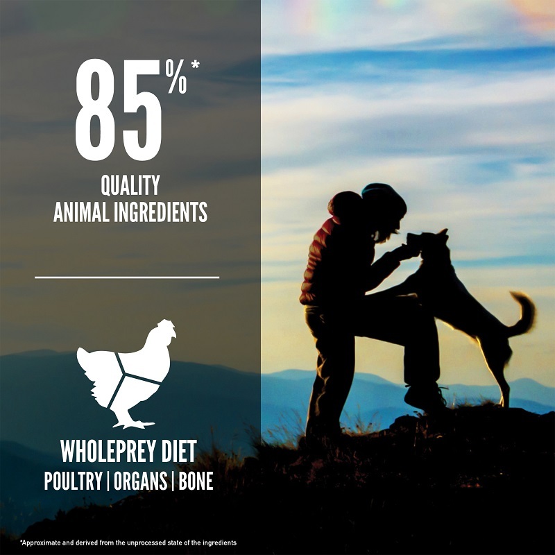 Orijen Hundetrockenfutter Orijen Original Adult 2 kg