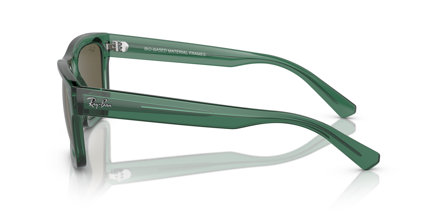 WARREN BIO-BASED - Verde lucios, transparent, maro