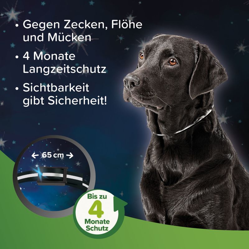 beaphar Reflektierendes Zecken- & Flohschutz-Halsband für Hunde