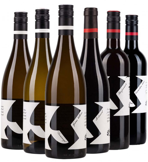 Glatzer Kennenlern-Paket - Weingut Glatzer