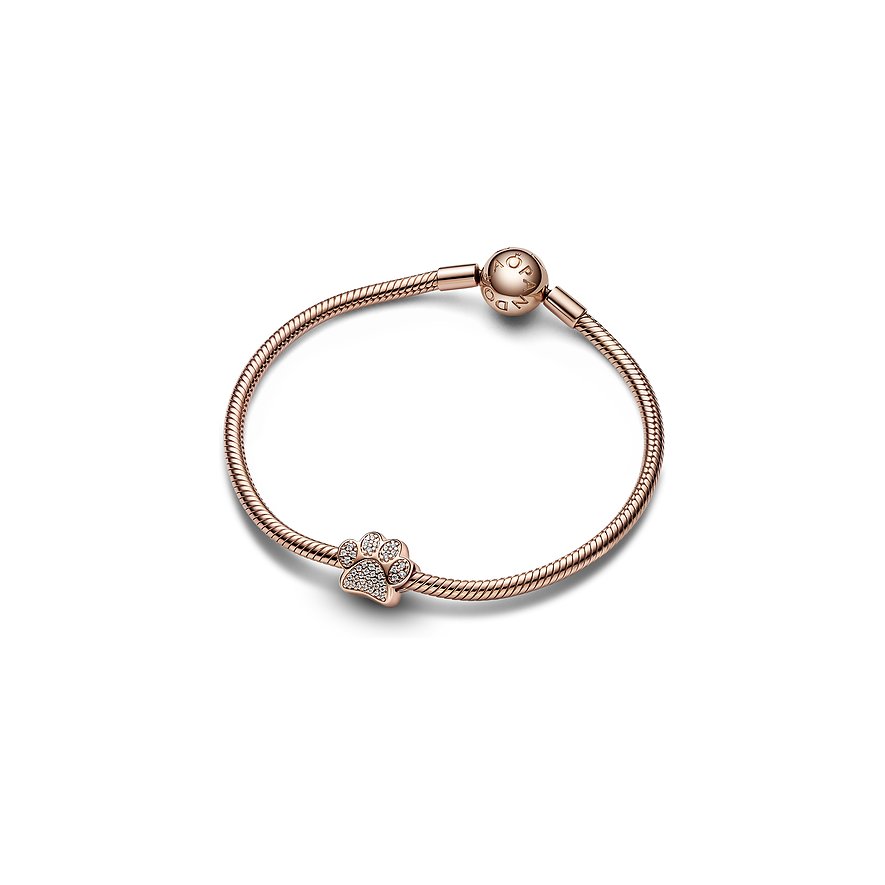 Pandora Charm Moments