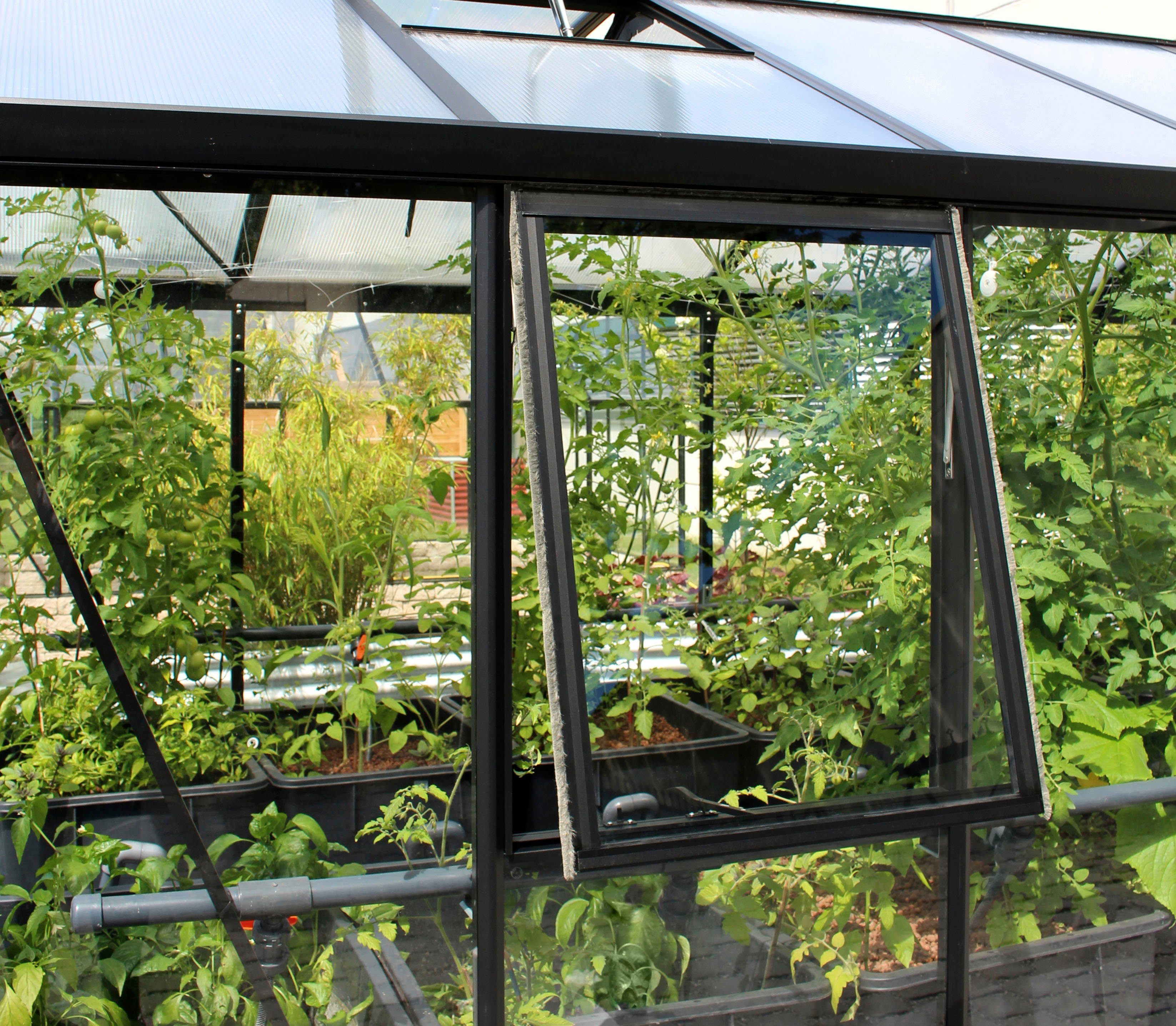 Vitavia Fenster Geeignet für: Zeus, Gewächshaus-Fensterrahmen aus Aluminium, ohne Fensterscheibe