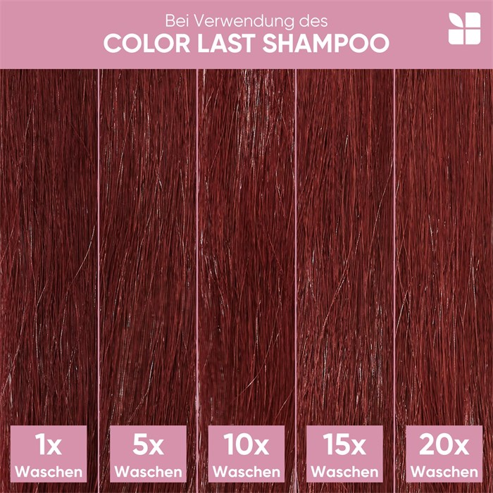 Shampoo