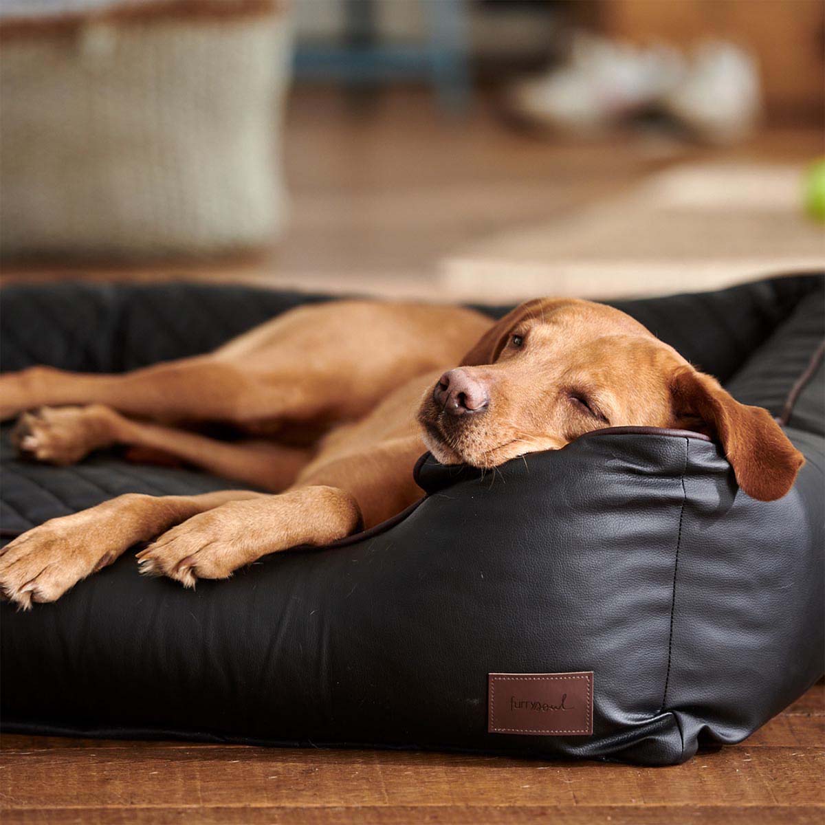 furrysoul orthopädisches Hundebett Mads schwarz bei ZooRoyal