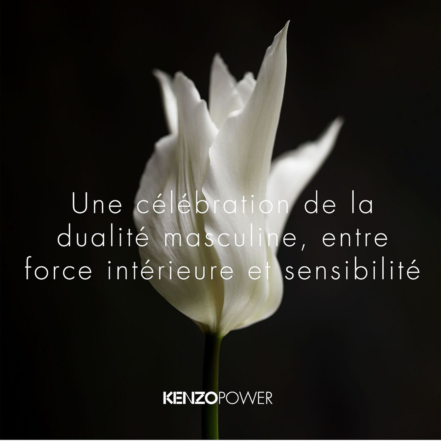Kenzo Kenzo Power Eau de Toilette