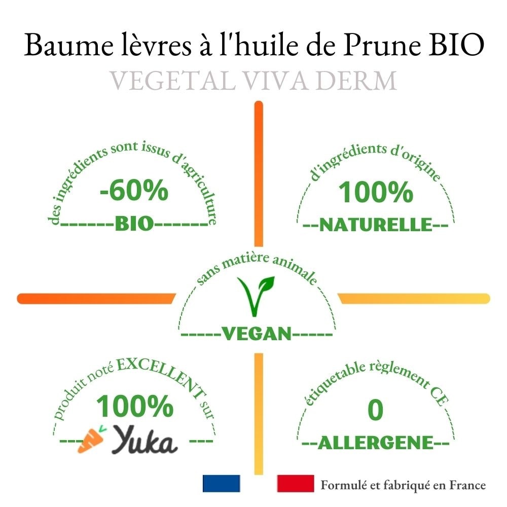 vegetal viva derm Baume à lèvres huile de PRUNE BIO Soin baume à lèvres cire de riz