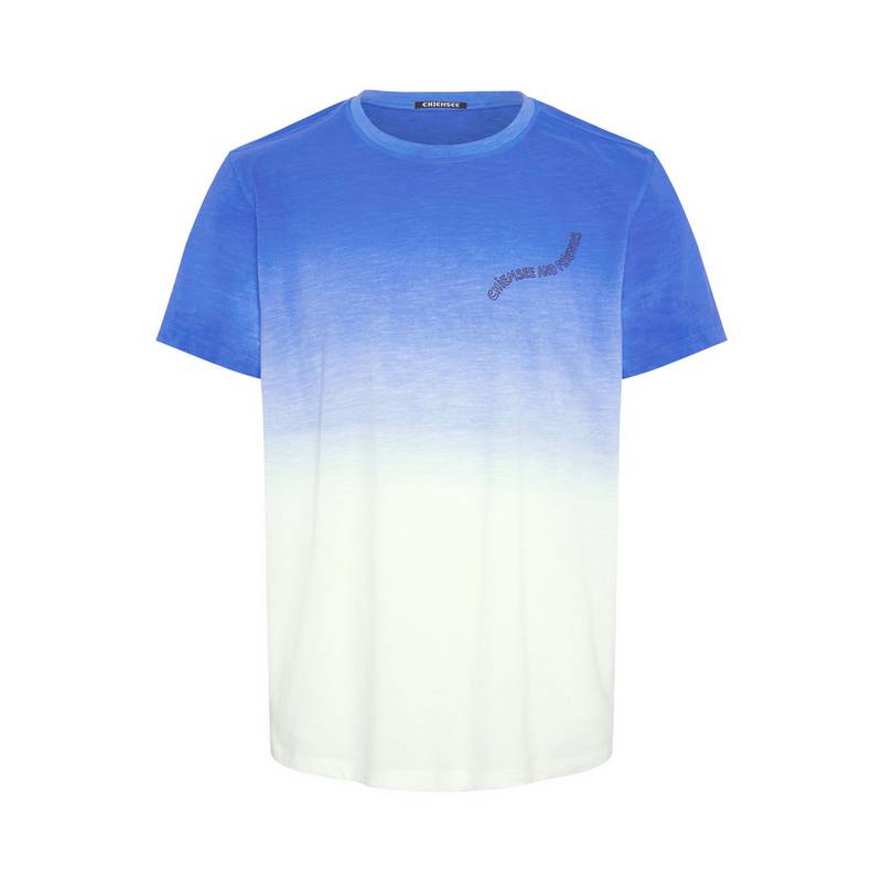 Chiemsee T-Shirt T-Shirt Herren